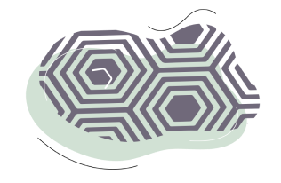 Foot Migration
